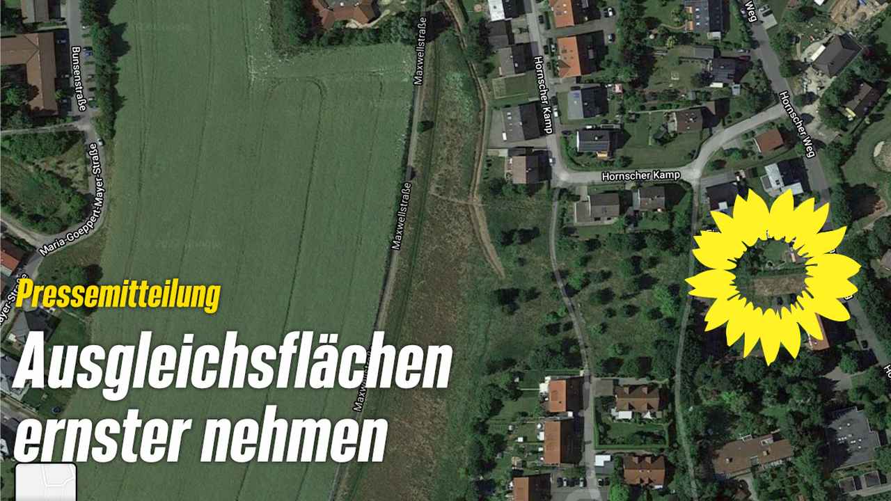 Beitragsbild: Satellitenbild der Ausgleichsfläche am Hornschen Kamp, Text: Pressemitteilung - Ausgleichsflächen ernster nehmen
